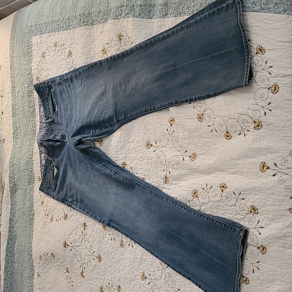 Gap 1969 Perfect Boot 33/16r